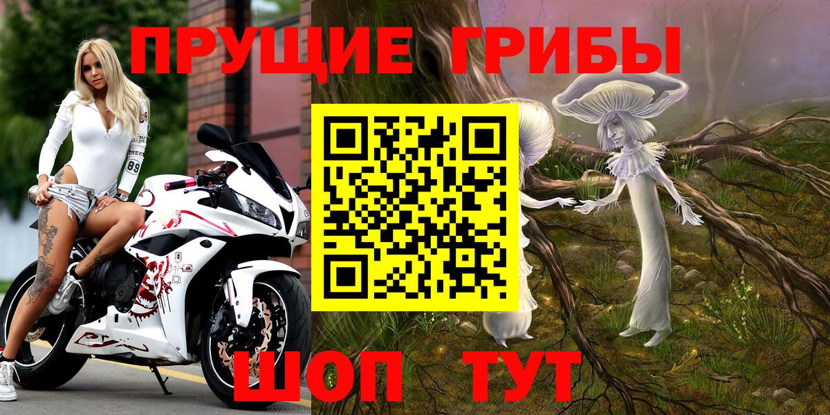 Псилоцибиновые грибы прущие грибы Нижнеудинск