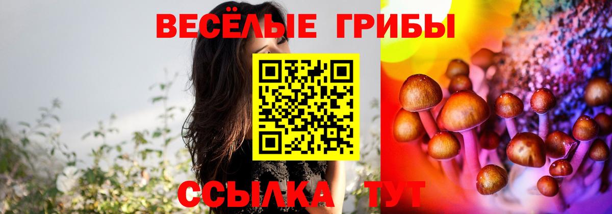 Галлюциногенные грибы GOLDEN TEACHER  Галлюциногенные грибы мицелий  Вход с VPN  Нижнеудинск 